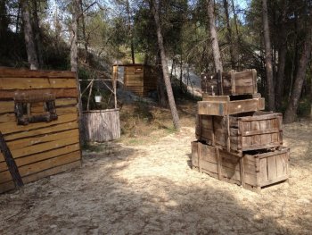 Camp de bosc temàtic